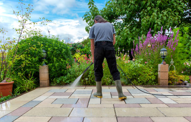 Best Sidewalk and Walkway Cleaning  in Port Orange, FL